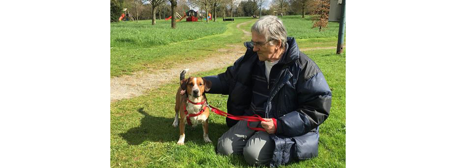 Hund Adoption Aachen