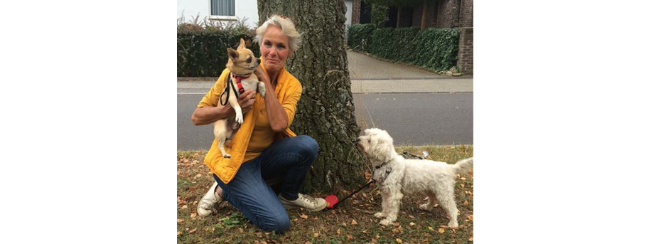 Hunde Vermittlung Tierschutz Aachen Rettungskörbchen