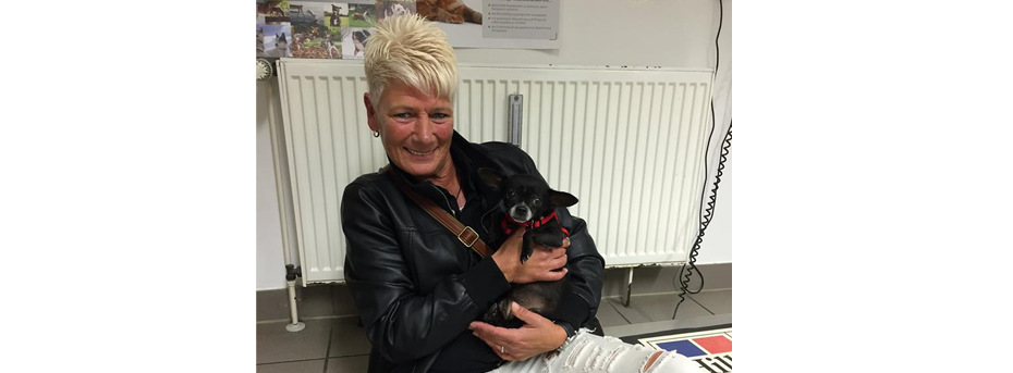 Hund Adoption Aachen